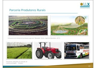 Parceria Produtores Rurais




  Estruturas do método d produção agrícola “M d ll ” (fonte: Agência M d ll 2011)
  E          d   é d de     d ã      í l “Mandalla” (f       A ê i Mandalla, 2011).




Estruturas utilizadas no método de
cultivo protegido - “Estufas”.

                                                                                      43
 