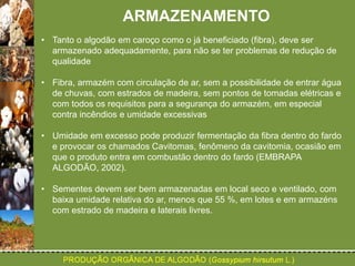 ARMAZENAMENTO 
• Tanto o algodão em caroço como o já beneficiado (fibra), deve ser 
armazenado adequadamente, para não se ter problemas de redução de 
qualidade 
• Fibra, armazém com circulação de ar, sem a possibilidade de entrar água 
de chuvas, com estrados de madeira, sem pontos de tomadas elétricas e 
com todos os requisitos para a segurança do armazém, em especial 
contra incêndios e umidade excessivas 
• Umidade em excesso pode produzir fermentação da fibra dentro do fardo 
e provocar os chamados Cavitomas, fenômeno da cavitomia, ocasião em 
que o produto entra em combustão dentro do fardo (EMBRAPA 
ALGODÃO, 2002). 
• Sementes devem ser bem armazenadas em local seco e ventilado, com 
baixa umidade relativa do ar, menos que 55 %, em lotes e em armazéns 
com estrado de madeira e laterais livres. 
 