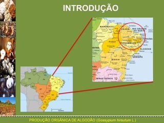 INTRODUÇÃO 
 