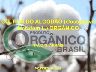CULTIVO DO ALGODÃO (Gossypium 
hirsutum L.) ORGÂNICO 
ÍTALO G. ARRAIS 
MOSSORÓ, RN 2014 
