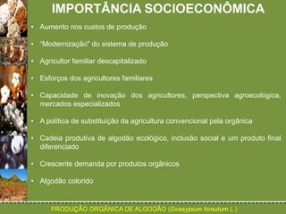 IMPORTÂNCIA SOCIOECONÔMICA 
• Aumento nos custos de produção 
• “Modernização" do sistema de produção 
• Agricultor familiar descapitalizado 
• Esforços dos agricultores familiares 
• Capacidade de inovação dos agricultores, perspectiva agroecológica, 
mercados especializados 
• A política de substituição da agricultura convencional pela orgânica 
• Cadeia produtiva de algodão ecológico, inclusão social e um produto final 
diferenciado 
• Crescente demanda por produtos orgânicos 
• Algodão colorido 
 