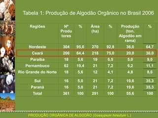Tabela 1: Produção de Algodão Orgânico no Brasil 2006 
Regiões Nº 
Produ 
tores 
% Área 
(ha) 
% Produção 
(ton. 
Algodão em 
rama) 
% 
Nordeste 304 95,0 270 92,8 36,0 64,7 
Ceará 206 64,4 218 75,0 20,0 36,0 
Paraíba 18 5,6 19 6,5 5,0 9,0 
Pernambuco 62 19,4 21 7,2 6,2 11,1 
Rio Grande do Norte 18 5,6 12 4,1 4,8 8,6 
Sul 16 5,0 21 7,2 19,6 35,3 
Paraná 16 5,0 21 7,2 19,6 35,3 
Total 361 100 291 100 55,6 100 
 