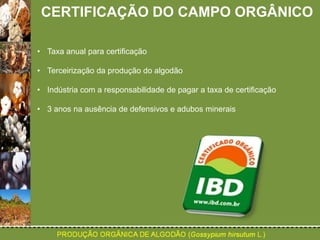 CERTIFICAÇÃO DO CAMPO ORGÂNICO 
• Taxa anual para certificação 
• Terceirização da produção do algodão 
• Indústria com a responsabilidade de pagar a taxa de certificação 
• 3 anos na ausência de defensivos e adubos minerais 
 