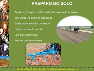 PREPARO DO SOLO 
• Aração e gradagem, preferencialmente com arado de aiveca 
• Solo úmido, no ponto da friabilidade 
• Grade aradora é desaconselhado 
• Cultivador à tração animal 
• Solo bem destorroado 
• Práticas conservacionistas 
 