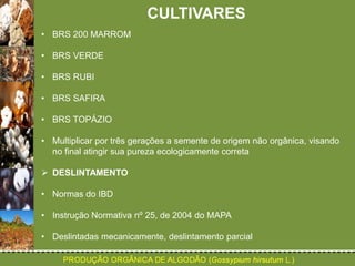 CULTIVARES 
• BRS 200 MARROM 
• BRS VERDE 
• BRS RUBI 
• BRS SAFIRA 
• BRS TOPÁZIO 
• Multiplicar por três gerações a semente de origem não orgânica, visando 
no final atingir sua pureza ecologicamente correta 
 DESLINTAMENTO 
• Normas do IBD 
• Instrução Normativa nº 25, de 2004 do MAPA 
• Deslintadas mecanicamente, deslintamento parcial 
 
