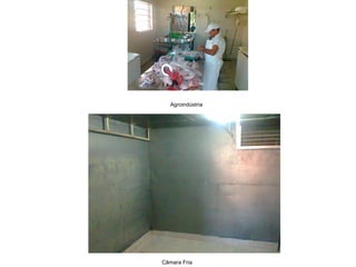 Agroindústria
Câmara Fria
 