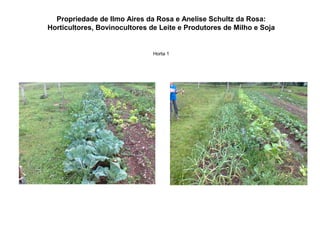 Propriedade de Ilmo Aires da Rosa e Anelise Schultz da Rosa:
Horticultores, Bovinocultores de Leite e Produtores de Milho e Soja
Horta 1
 