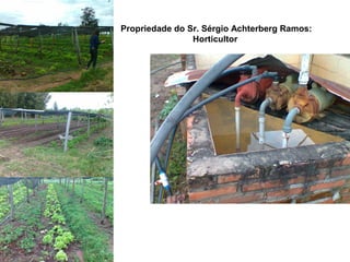 Propriedade do Sr. Sérgio Achterberg Ramos:
Horticultor
 