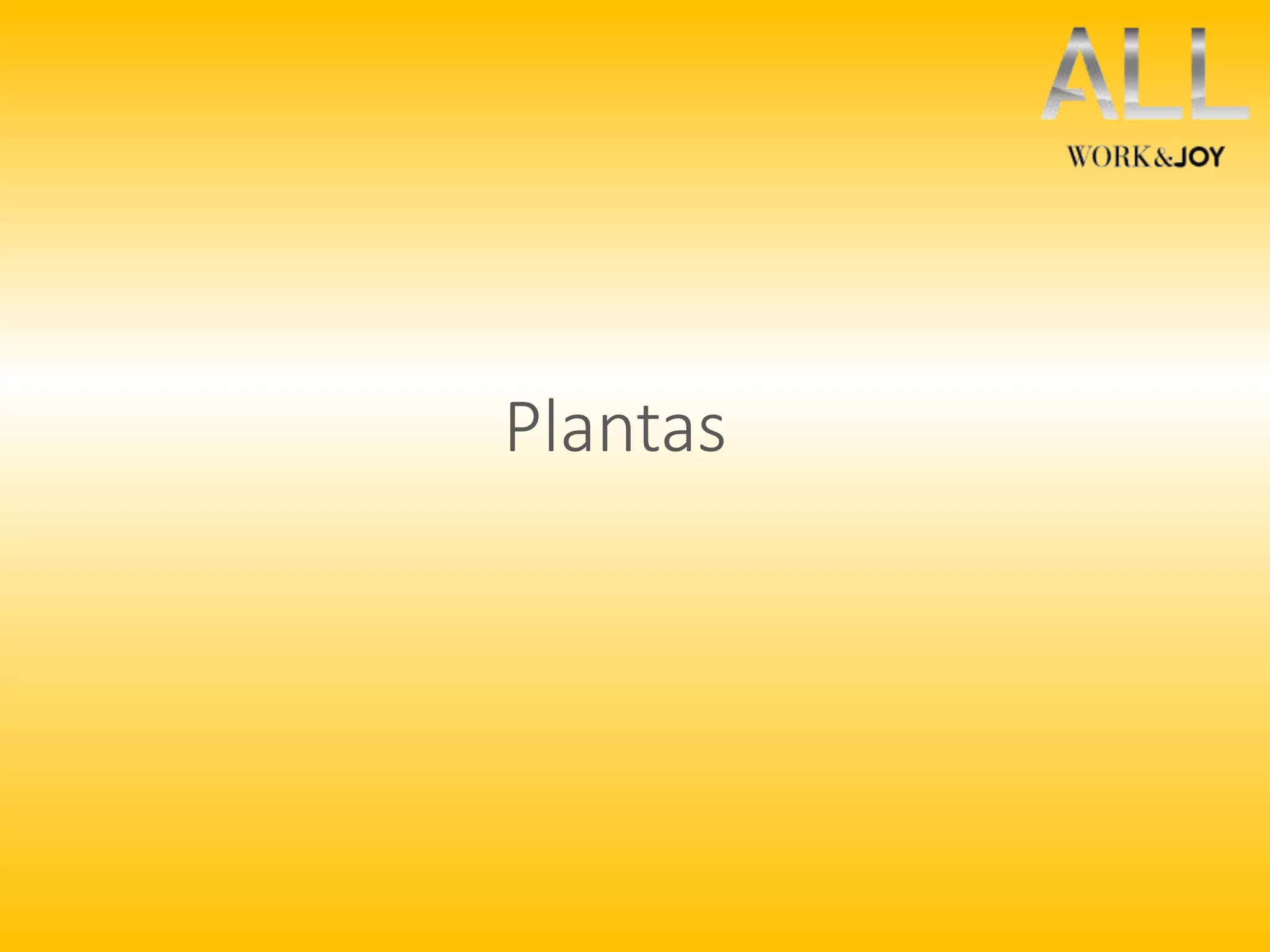 Plantas 
 