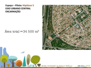 Espaço – Piloto:  Hipótese 5 EIXO URBANO CENTRAL ENCARNAÇÃO Área total = 34 500 m² 