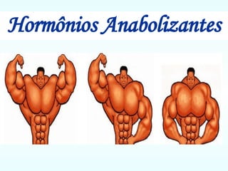 Hormônios Anabolizantes 
