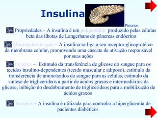 Insulina Propriedades – A insulina é um  polipeptídio   produzido pelas células beta das ilhotas de Langerhans do pâncreas endócrino Mecanismo de ação  – A insulina se liga a seu receptor glicoprotéico da membrana celular, promovendo uma cascata de ativação responsável por suas ações Funções  –  Estímulo da transferência de glicose do sangue para os tecidos insulino-dependentes (tecido muscular e adiposo), estímulo da transferência de aminoácidos do sangue para as células, estímulo da síntese de triglicerídeos a partir de ácidos graxos e intermediários da glicose, inibição do desdobramento de triglicerídeos para a mobilização de ácidos graxos  Terapias  – A insulina é utilizada para controlar a hiperglicemia de pacientes diabéticos  Pâncreas 