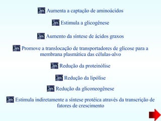Aumenta a captação de aminoácidos Estimula a glicogênese Aumento da síntese de ácidos graxos Redução da proteinólise Redução da lipólise Redução da gliconeogênese Estimula indiretamente a síntese protéica através da transcrição de fatores de crescimento Promove a translocação de transportadores de glicose para a membrana plasmática das células-alvo 