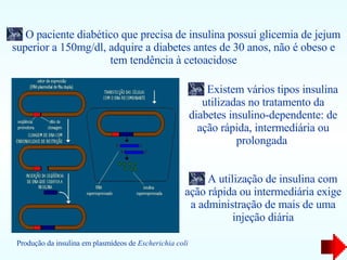 Produção da insulina em plasmídeos de  Escherichia coli O paciente diabético que precisa de insulina possui glicemia de jejum superior a 150mg/dl, adquire a diabetes antes de 30 anos, não é obeso e tem tendência à cetoacidose Existem vários tipos insulina utilizadas no tratamento da diabetes insulino-dependente: de ação rápida, intermediária ou prolongada  A utilização de insulina com ação rápida ou intermediária exige a administração de mais de uma injeção diária 