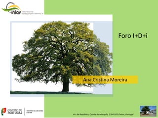 Foro I+D+i
Ana Cristina Moreira
Av. da República, Quinta do Marquês, 2784-505 Oeiras, Portugal
 