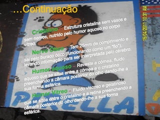 …Continuação
 