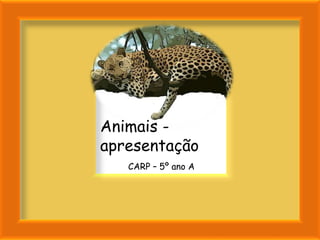 Animais -
apresentação
   CARP – 5º ano A
 