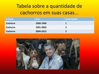 Tabela sobre a quantidade de
cachorros em suas casas...
Animal

Ano

Quantidade

Cachorro

1960-1990

1

Cachorro

1991-2003

3

Cachorro

2004-2013

5

 