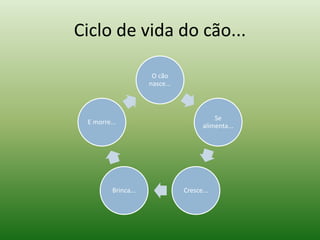 Ciclo de vida do cão...
O cão
nasce...

E morre...

Brinca...

Se
alimenta...

Cresce...

 