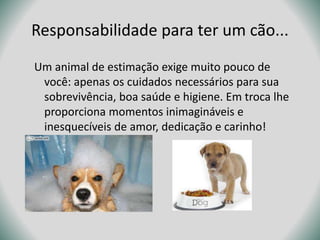 Responsabilidade para ter um cão...
Um animal de estimação exige muito pouco de
você: apenas os cuidados necessários para sua
sobrevivência, boa saúde e higiene. Em troca lhe
proporciona momentos inimagináveis e
inesquecíveis de amor, dedicação e carinho!

 
