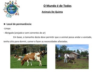 O Mundo é de Todos ►  Local de permanência: Limpo Abrigado (arejado e sem correntes de ar) Em boxe, o tamanho desta deve permitir que o animal possa andar a vontade, tenha sitio para dormir, comer e fazer as necessidades afastadas. Animais De Quinta 