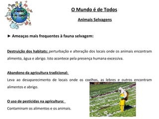 O Mundo é de Todos ►  Ameaças mais frequentes à fauna selvagem: Destruição dos habitats:  perturbação e alteração dos locais onde os animais encontram alimento, água e abrigo. Isto acontece pela presença humana excessiva. Abandono da agricultura tradicional:  Leva ao desaparecimento de locais onde os coelhos, as lebres e outros encontram alimentos e abrigo. O uso de pesticidas na agricultura:  Contaminam os alimentos e os animais. Animais Selvagens 