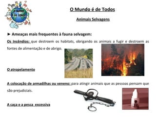 O Mundo é de Todos ►  Ameaças mais frequentes à fauna selvagem: Os Incêndios:  que destroem os habitats, obrigando os animais a fugir e destroem as fontes de alimentação e de abrigo. O atropelamento A colocação de armadilhas ou veneno:  para atingir animais que as pessoas pensam que são prejudiciais. A caça e a pesca  excessiva Animais Selvagens 