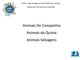 LPDA – Liga Portuguesa dos Direitos do  Animal Núcleo de Vila Nova de Famalicão Animais De Companhia Animais da Quinta Animais Selvagens 