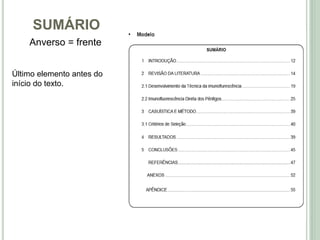 SUMÁRIO
Último elemento antes do
início do texto.
Anverso = frente
 