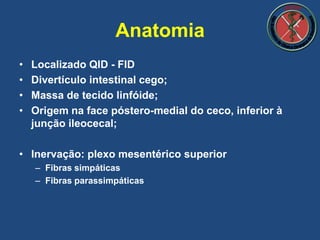 Anatomia
• Localizado QID - FID
• Divertículo intestinal cego;
• Massa de tecido linfóide;
• Origem na face póstero-medial do ceco, inferior à
junção ileocecal;
• Inervação: plexo mesentérico superior
– Fibras simpáticas
– Fibras parassimpáticas
 