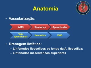 • Vascularização:
• Drenagem linfática:
– Linfonodos ileocólicos ao longo da A. Ileocólica;
– Linfonodos mesentéricos superiores
Anatomia
AMS Ileocólica Apendicular
Veia
apendicular
Ileocólica VMS
 