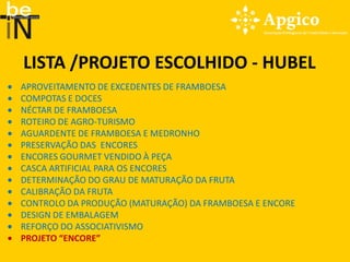 LISTA /PROJETO ESCOLHIDO - HUBEL
APROVEITAMENTO DE EXCEDENTES DE FRAMBOESA
COMPOTAS E DOCES
NÉCTAR DE FRAMBOESA
ROTEIRO DE AGRO-TURISMO
AGUARDENTE DE FRAMBOESA E MEDRONHO
PRESERVAÇÃO DAS ENCORES
ENCORES GOURMET VENDIDO À PEÇA
CASCA ARTIFICIAL PARA OS ENCORES
DETERMINAÇÃO DO GRAU DE MATURAÇÃO DA FRUTA
CALIBRAÇÃO DA FRUTA
CONTROLO DA PRODUÇÃO (MATURAÇÃO) DA FRAMBOESA E ENCORE
DESIGN DE EMBALAGEM
REFORÇO DO ASSOCIATIVISMO
PROJETO “ENCORE”
 
