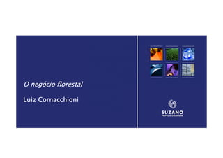 O negócio florestal

Luiz Cornacchioni




                      33
 