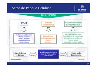 Setor de Papel e Celulose

                                Base Florestal


                                     Práticas               Responsabilidade
                 P&D              Silviculturais             Socioambiental




                                                             Certificações Florestais
       Melhoramento Genético
          Manejo Florestal        Cultivo Mínimo         Proteção Área de Preservação
          Solos e Nutrição      Colheita Mecanizada        Monitoramento Ambiental
         Proteção Florestal            Viveiro                   Projetos Sociais
           Biotecnologia             Fomento               (Educação, Renda e Saúde)




                               40% Áreas das Suzano
     Mata Atlântica                                                  Preservação
                                Áreas de Preservação e
       e Cerrado                    Conservação                     Ecossistemas

Biodiversidade                                                               Harmonia


                                                                                        34
 