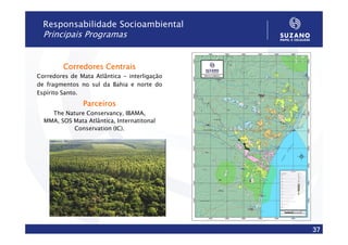 Responsabilidade Socioambiental
  Principais Programas


         Corredores Centrais
Corredores de Mata Atlântica - interligação
de fragmentos no sul da Bahia e norte do
Espírito Santo.
               Parceiros
    The Nature Conservancy, IBAMA,
  MMA, SOS Mata Atlântica, Internatitonal
           Conservation (IC).




                                              37
 