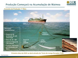 Produção Começará na Acumulação de Waimea
      Conceito de Produção 1º Óleo




                                  OSX-1                           Bóia


        Principais
        características:
                                                             Risers e
         Potencial de                                       umbilicais
          produção de até
          20mil bpd
         Óleo de 20 API          Árvore de               Linhas
                                  natal                   flexíveis
         Lâmina d’água de        molhada
          140 metros
         2 poços adicionais                  Estacas e
          em produção em                                                    Bomba
                                              amarras
                                                                            centrífuga
          2012
                                                                            submersa


                   Primeiro óleo da OGX se dará através de Teste de Longa Duração (TLD)
Foto Ilustrativa

                                                                                          12
 