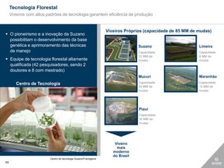 Tecnologia Florestal
     Viveiros com altos padrões de tecnologia garantem eficiência de produção


                                                                  Viveiros Próprios (capacidade de 85 MM de mudas)
 O pioneirismo e a inovação da Suzano
  possibilitam o desenvolvimento da base
  genética e aprimoramento das técnicas                                          Suzano                     Limeira
  de manejo                                                                      Capacidade                 Capacidade
                                                                                 12 MM de                   8 MM de
 Equipe de tecnologia florestal altamente                                       mudas                      mudas
  qualificada (42 pesquisadores, sendo 2
  doutores e 8 com mestrado)
                                                                                 Mucuri                     Maranhão
        Centro de Tecnologia                                                     Capacidade                 Capacidade
                                                                                 20 MM de                   15 MM de
                                                                                 mudas                      mudas




                                                                                 Piauí
                                                                                 Capacidade
                                                                                 30 MM de
                                                                                 mudas




                                                                      Viveiro
                                                                       mais
                                                                     moderno
                                                                     do Brasil
                         Centro de tecnologia Suzano/Futuragene
11
 