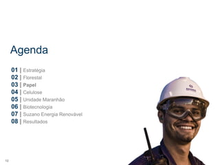 Agenda
     01 | Estratégia
     02 | Florestal
     03 | Papel
     04 | Celulose
     05 | Unidade Maranhão
     06 | Biotecnologia
     07 | Suzano Energia Renovável
     08 | Resultados




12
 