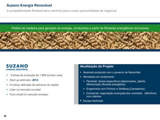 Suzano Energia Renovável
     A competitividade florestal abre caminho para novas oportunidades de negócios




         Pellets de madeira para geração de energia, produzidos a partir de florestas energéticas renováveis




                                                          Atualização do Projeto
                                                           Assinado protocolo com o governo de Maranhão
      3 linhas de produção de 1 MM ton/ano cada
                                                           Atividades em andamento:
      Start-up estimado: 2014                               Florestal: clones específicos selecionados, plantio
      Funding: definição da estrutura de capital             diferenciado (floresta energética)
      Líder no mercado mundial                              Engenharia com Promon e Stolberg (Canadense)

      Foco inicial no mercado europeu                       Comercial: negociação avançada dos contratos definitivos
                                                              com clientes
                                                           Equipe dedicada



38
 