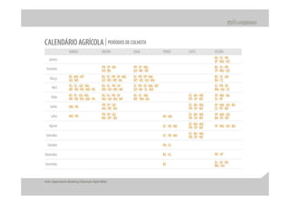 Apresentação apimec – resultados 2 t10