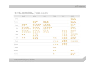 Apresentação apimec sp – resultados 1 t10