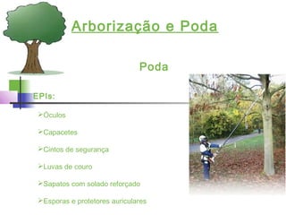 Arborização e Poda
Poda
EPIs:
Óculos
Capacetes
Cintos de segurança
Luvas de couro
Sapatos com solado reforçado
Esporas e protetores auriculares
 