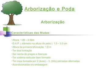 Arborização e Poda
Arborização
Características das Mudas:
Altura: 1,80 – 2,50m
D.A.P. ( diâmetro na altura do peito ): 1,5 – 3,0 cm
Altura da primeira bifurcação: 1,8 m
Ter boa formação
Ser isenta de pragas e doenças
Ter sistema radicular bem formado
Ter copa formada por 2 (duas) – 3. (três) pernadas alternadas
Acondicionadas em embalagem
 