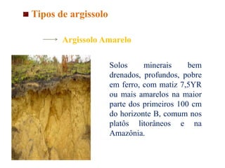 Argissolo Amarelo
Solos minerais bem
drenados, profundos, pobre
em ferro, com matiz 7,5YR
ou mais amarelos na maior
parte dos primeiros 100 cm
do horizonte B, comum nos
platôs litorâneos e na
Amazônia.
Tipos de argissolo
 
