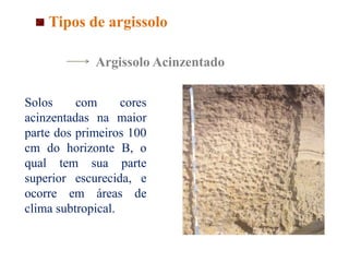 Argissolo Acinzentado
Solos com cores
acinzentadas na maior
parte dos primeiros 100
cm do horizonte B, o
qual tem sua parte
superior escurecida, e
ocorre em áreas de
clima subtropical.
Tipos de argissolo
 