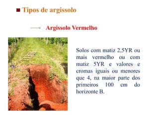 Argissolo Vermelho
Solos com matiz 2,5YR ou
mais vermelho ou com
matiz 5YR e valores e
cromas iguais ou menores
que 4, na maior parte dos
primeiros 100 cm do
horizonte B.
Tipos de argissolo
 