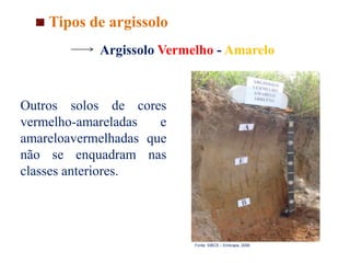Argissolo Vermelho - Amarelo
Fonte: SiBCS – Embrapa, 2006.
Tipos de argissolo
Outros solos de cores
vermelho-amareladas e
amareloavermelhadas que
não se enquadram nas
classes anteriores.
 