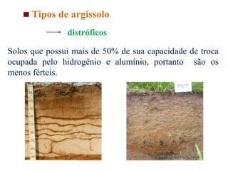 Tipos de argissolo
distróficos
Solos que possui mais de 50% de sua capacidade de troca
ocupada pelo hidrogênio e alumínio, portanto são os
menos férteis.
 