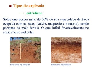 Tipos de argissolo
eutróficos
Solos que possui mais de 50% de sua capacidade de troca
ocupada com as bases (cálcio, magnésio e potássio), sendo
portanto os mais férteis. O que influi favoravelmente no
crescimento radicular
Fonte: hotsites.cnps.embrapa.br Fonte: hotsites.cnps.embrapa.br
 