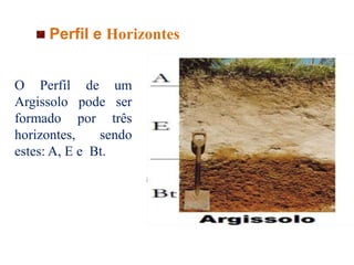O Perfil de um
Argissolo pode ser
formado por três
horizontes, sendo
estes: A, E e Bt.
Perfil e Horizontes
 